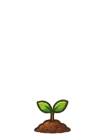 Classic tree, stage 1