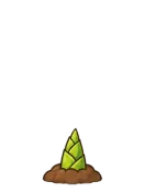 Bamboo, stage 1 of 6: Shoot