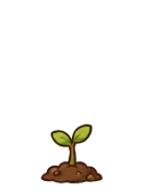 Sakura, stage 2 of 6: Sprout