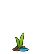 Cattail, stage 2 of 6: Shoot