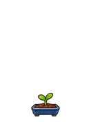 Bonsai, stage 2 of 6: Sprout
