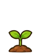 Hydrangea, stage 2 of 6: Sprout