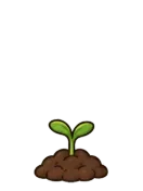 Rose, stage 2 of 6: Sprout