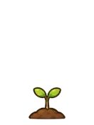 Birch, stage 2 of 6: Sprout