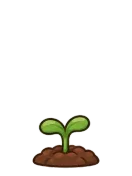 Poppy, stage 2 of 6: Sprout
