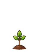 Tree, stage 2 of 6: Small Sapling