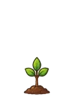 Classic tree, stage 2