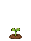 Moonflower, stage 2 of 6: Sprout