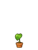 Monstera, stage 2 of 6: First Leaf