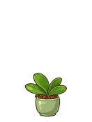 Orchid, stage 3 of 6: Leafy