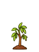 Willow, stage 3 of 6: Sapling