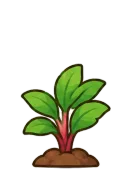 Peony, stage 3 of 6: Leafy