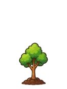 Tree, stage 3 of 6: Growing Sapling