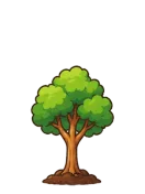 Tree, stage 4 of 6: Young Tree