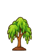 Willow, stage 4 of 6: Young Tree