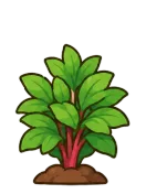 Peony, stage 4 of 6: Bushy