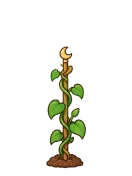 Moonflower, stage 4 of 6: Climbing