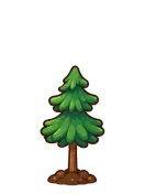 Winter Pine, stage 4 of 6: Young Tree