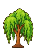 Willow, stage 5 of 6: Weeping