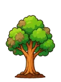 Quit-habit tree, stage 5 of 6