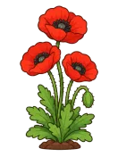 Poppy, stage 6 of 6: Poppy Field