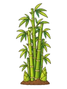 Bamboo, stage 6 of 6: Bamboo Grove