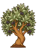 Olive, stage 6 of 6: Olive Harvest
