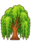 Willow, stage 6 of 6: Grand Willow