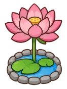 Lotus, stage 6 of 6: Full Lotus