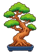 Bonsai, stage 6 of 6: Ancient Bonsai